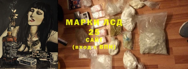 хмурый Магас