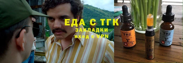 хмурый Магас
