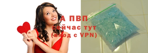 хмурый Магас
