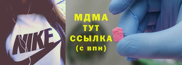 хмурый Магас